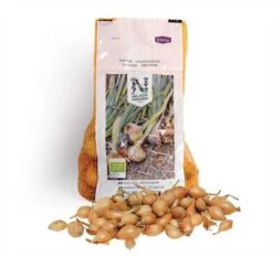 Økologisk Gul Sætteløg