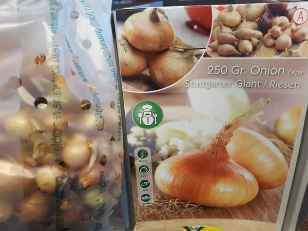 Sætteløg Gule Løg 3 Sætteløg Gule Løg